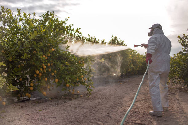 Best Local Pest Control Services  in Harrisville, WV